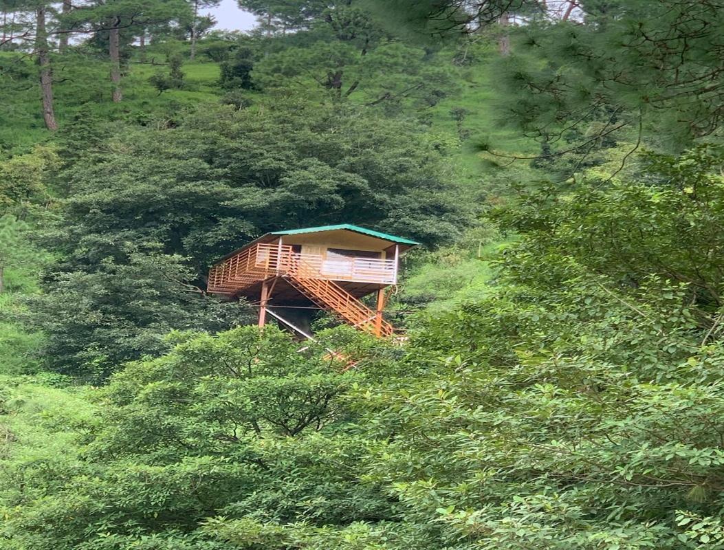 The Cocoon Camps & Nature Resorts Nainital Zewnętrze zdjęcie